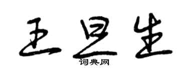 曾庆福王旦生草书个性签名怎么写