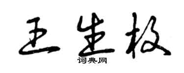 曾庆福王生枚草书个性签名怎么写