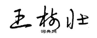 曾庆福王树壮草书个性签名怎么写