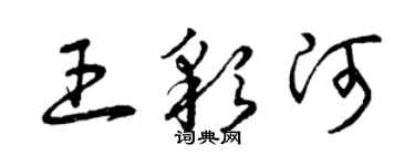 曾庆福王彩河草书个性签名怎么写