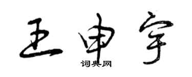 曾庆福王申宇草书个性签名怎么写