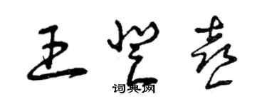 曾庆福王登喜草书个性签名怎么写