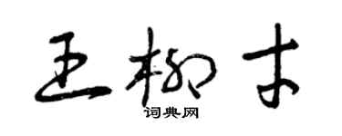 曾庆福王柳才草书个性签名怎么写