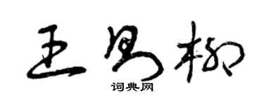 曾庆福王则柳草书个性签名怎么写