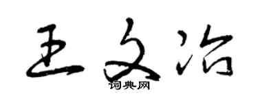 曾庆福王文冶草书个性签名怎么写