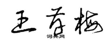 曾庆福王存梅草书个性签名怎么写