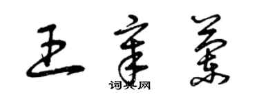 曾庆福王章兰草书个性签名怎么写