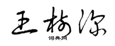 曾庆福王树深草书个性签名怎么写
