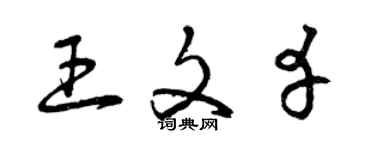 曾庆福王文幸草书个性签名怎么写
