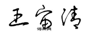 曾庆福王宙清草书个性签名怎么写