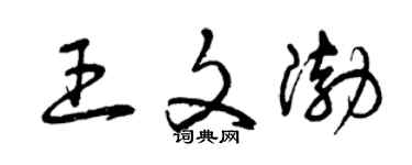 曾庆福王文渤草书个性签名怎么写
