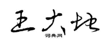 曾庆福王大地草书个性签名怎么写