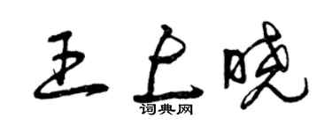 曾庆福王上晓草书个性签名怎么写