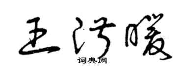 曾庆福王淑暖草书个性签名怎么写