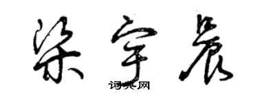 曾庆福梁宇晨草书个性签名怎么写