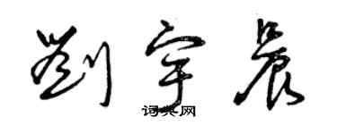 曾庆福刘宇晨草书个性签名怎么写