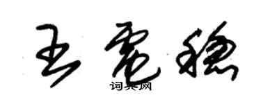 朱锡荣王电稳草书个性签名怎么写