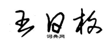 朱锡荣王日枚草书个性签名怎么写