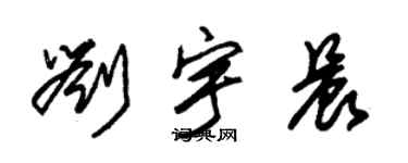 朱锡荣刘宇晨草书个性签名怎么写