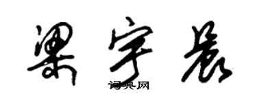 朱锡荣梁宇晨草书个性签名怎么写