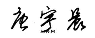 朱锡荣唐宇晨草书个性签名怎么写
