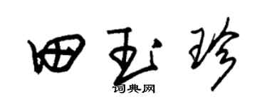 朱锡荣田玉珍草书个性签名怎么写