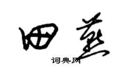 朱锡荣田燕草书个性签名怎么写