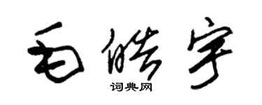 朱锡荣毛皓宇草书个性签名怎么写
