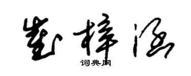 朱锡荣崔梓涵草书个性签名怎么写