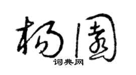 曾庆福杨园草书个性签名怎么写