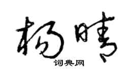 曾庆福杨晴草书个性签名怎么写