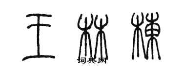 陈墨王林栋篆书个性签名怎么写