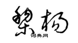 曾庆福黎杨草书个性签名怎么写