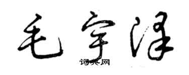 曾庆福毛宇泽草书个性签名怎么写