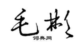 曾庆福毛彬草书个性签名怎么写