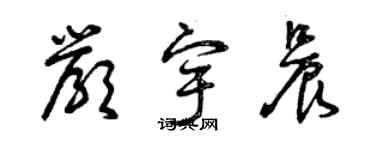 曾庆福严宇晨草书个性签名怎么写