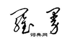 梁锦英罗曼草书个性签名怎么写