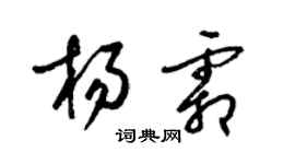 梁锦英杨霜草书个性签名怎么写