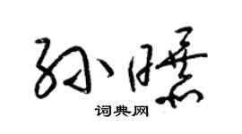 梁锦英孙曝草书个性签名怎么写