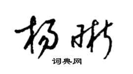 梁锦英杨晰草书个性签名怎么写