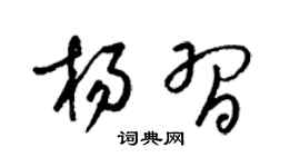 梁锦英杨习草书个性签名怎么写