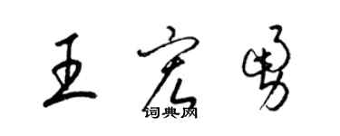 梁锦英王宏勇草书个性签名怎么写