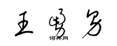 梁锦英王勇男草书个性签名怎么写