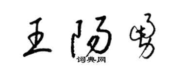 梁锦英王阳勇草书个性签名怎么写