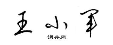 梁锦英王小军草书个性签名怎么写