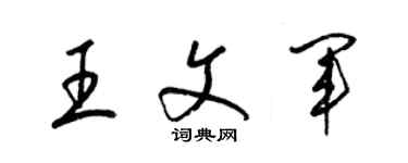 梁锦英王文军草书个性签名怎么写