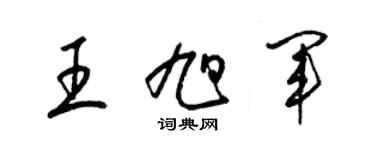 梁锦英王旭军草书个性签名怎么写