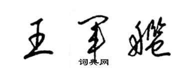梁锦英王军舰草书个性签名怎么写