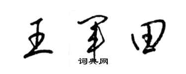 梁锦英王军田草书个性签名怎么写
