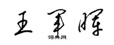 梁锦英王军晖草书个性签名怎么写
